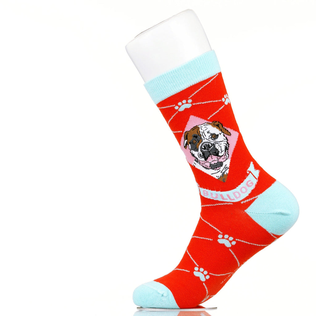 Bulldog | Argyle Pups