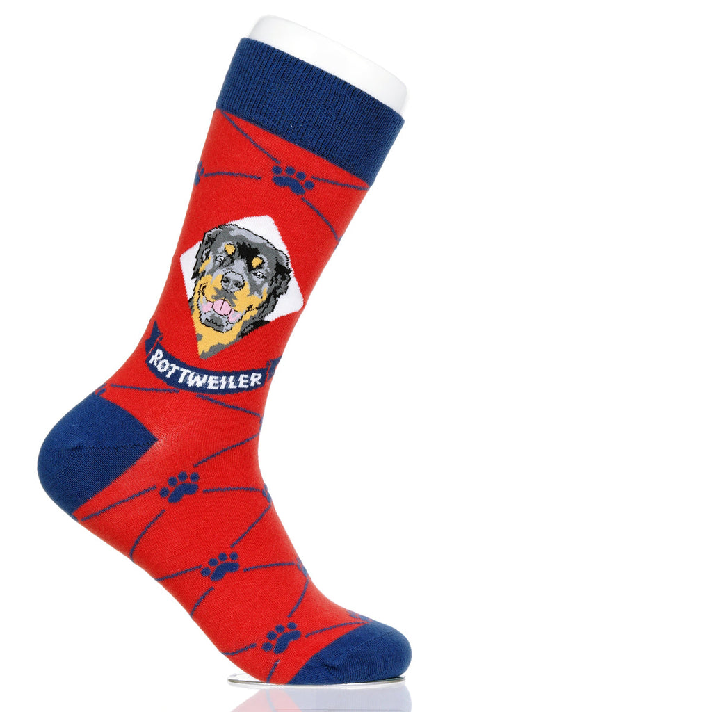 Rottweiler | Argyle Pups