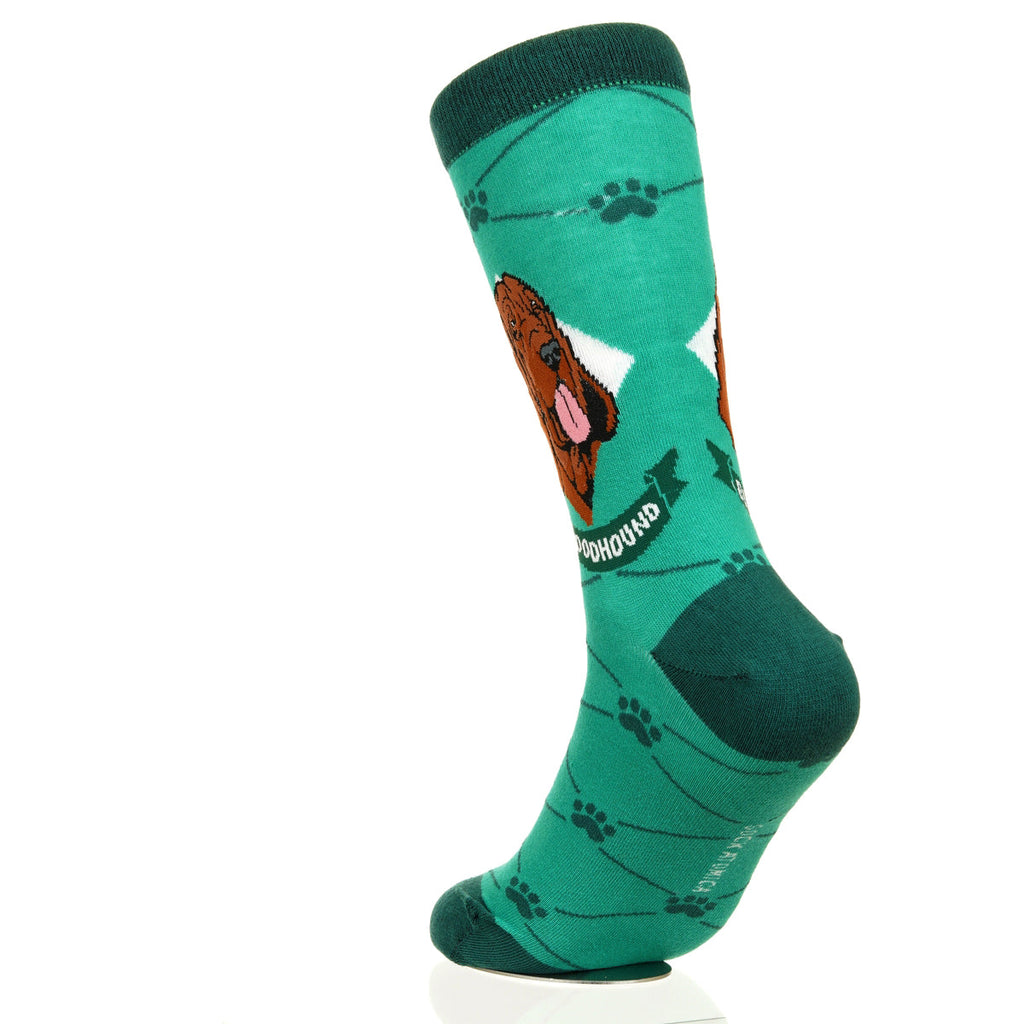 Bloodhound | Argyle Pups