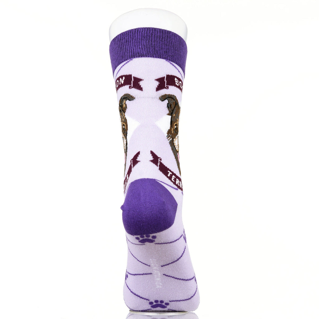 Boston Terrier | Argyle Pups