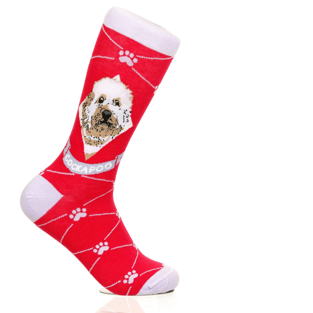 Cockapoo | Argyle Pups