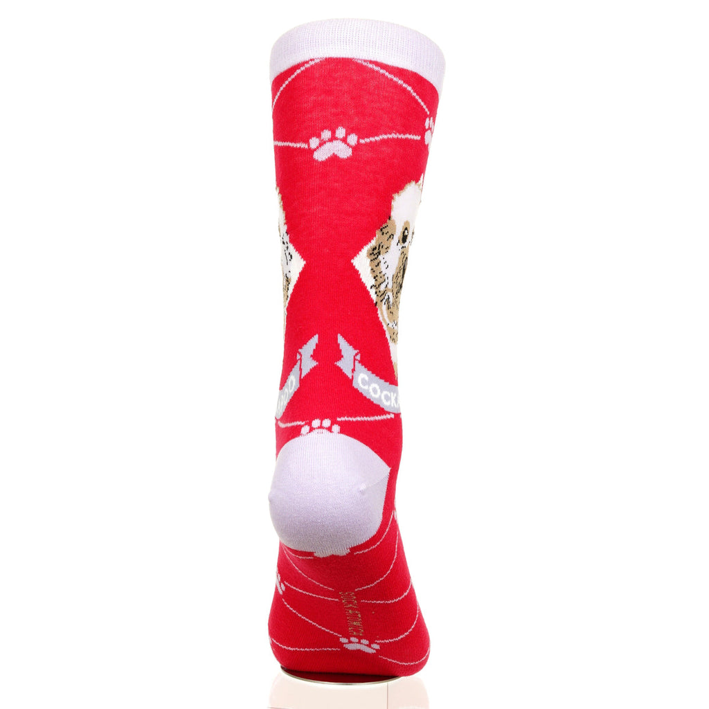 Cockapoo | Argyle Pups