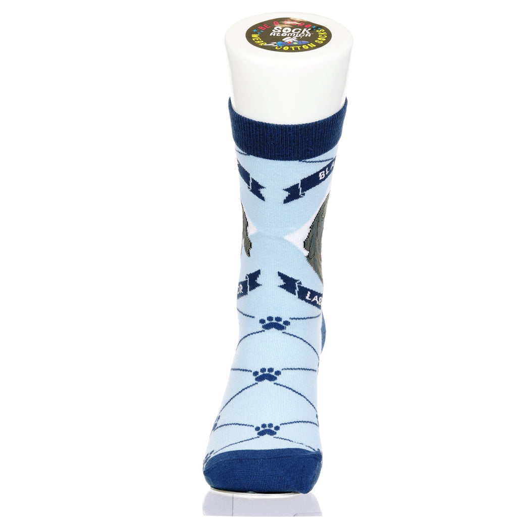 Labrador Black Lab | Argyle Pups