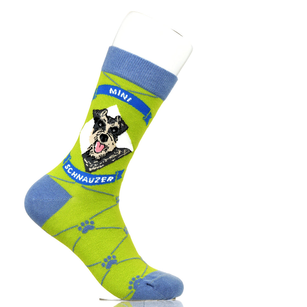 Mini Schnauzer | Argyle Pups