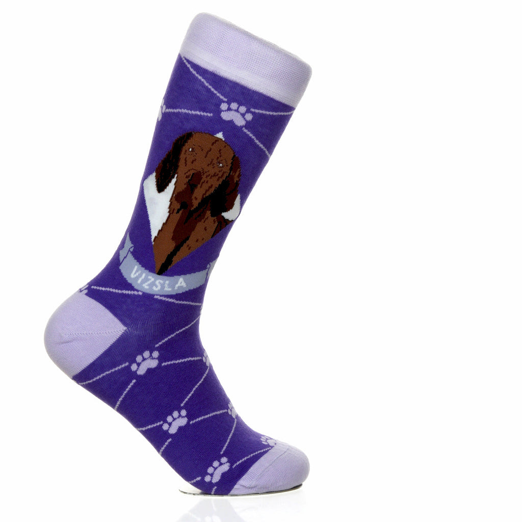 Vizsla | Argyle Pups