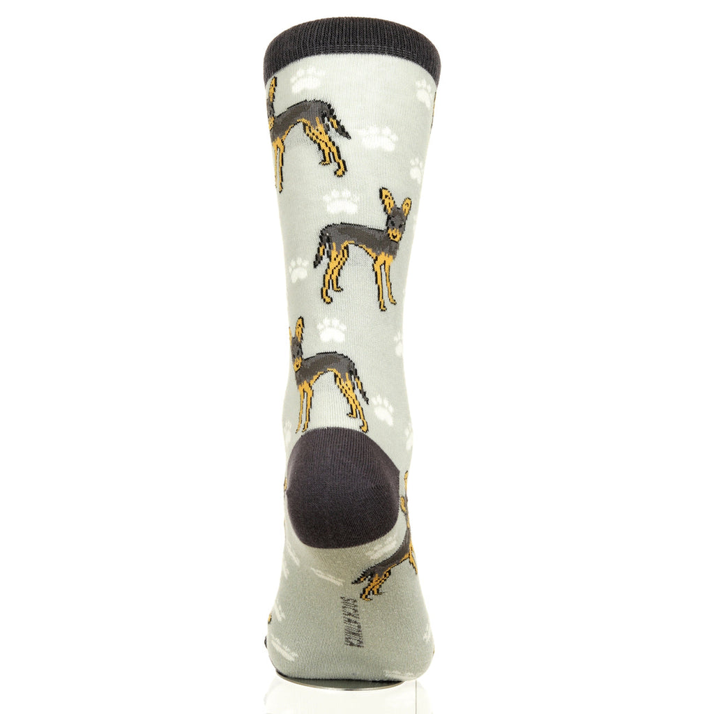 Chihuahua | Plenty of Pups