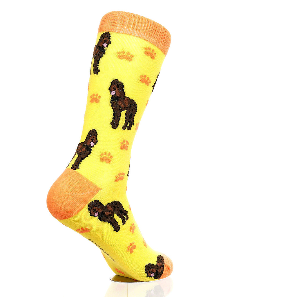 Labradoodle | Plenty of Pups