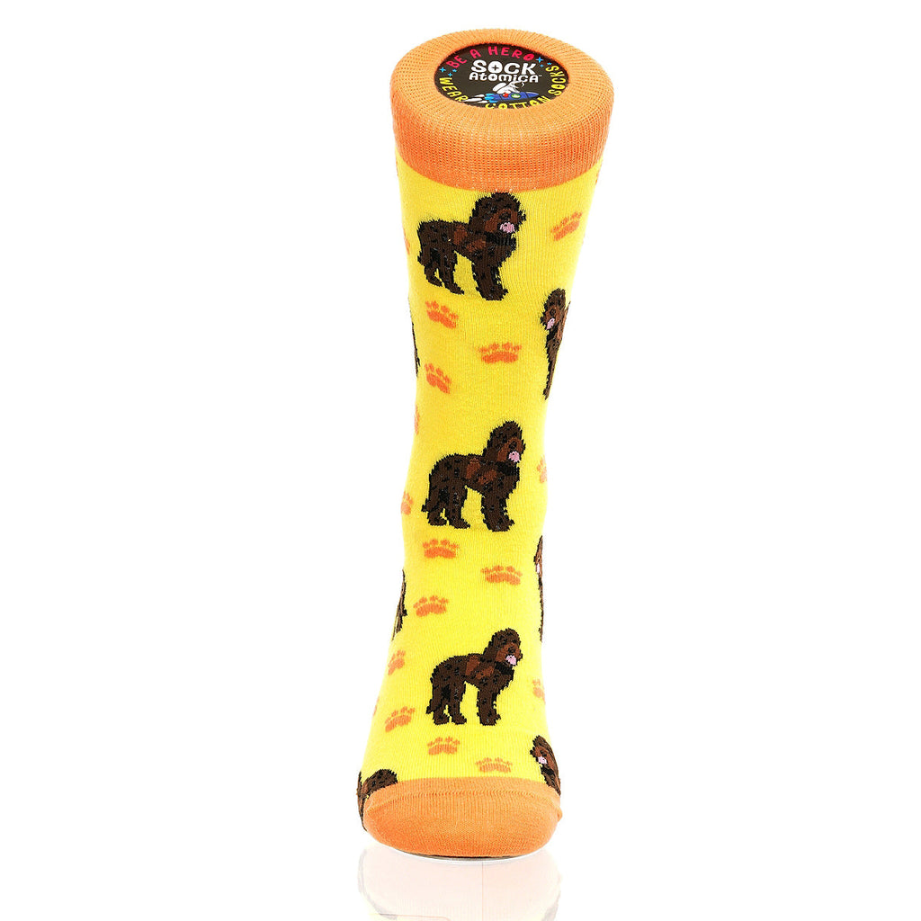 Labradoodle | Plenty of Pups