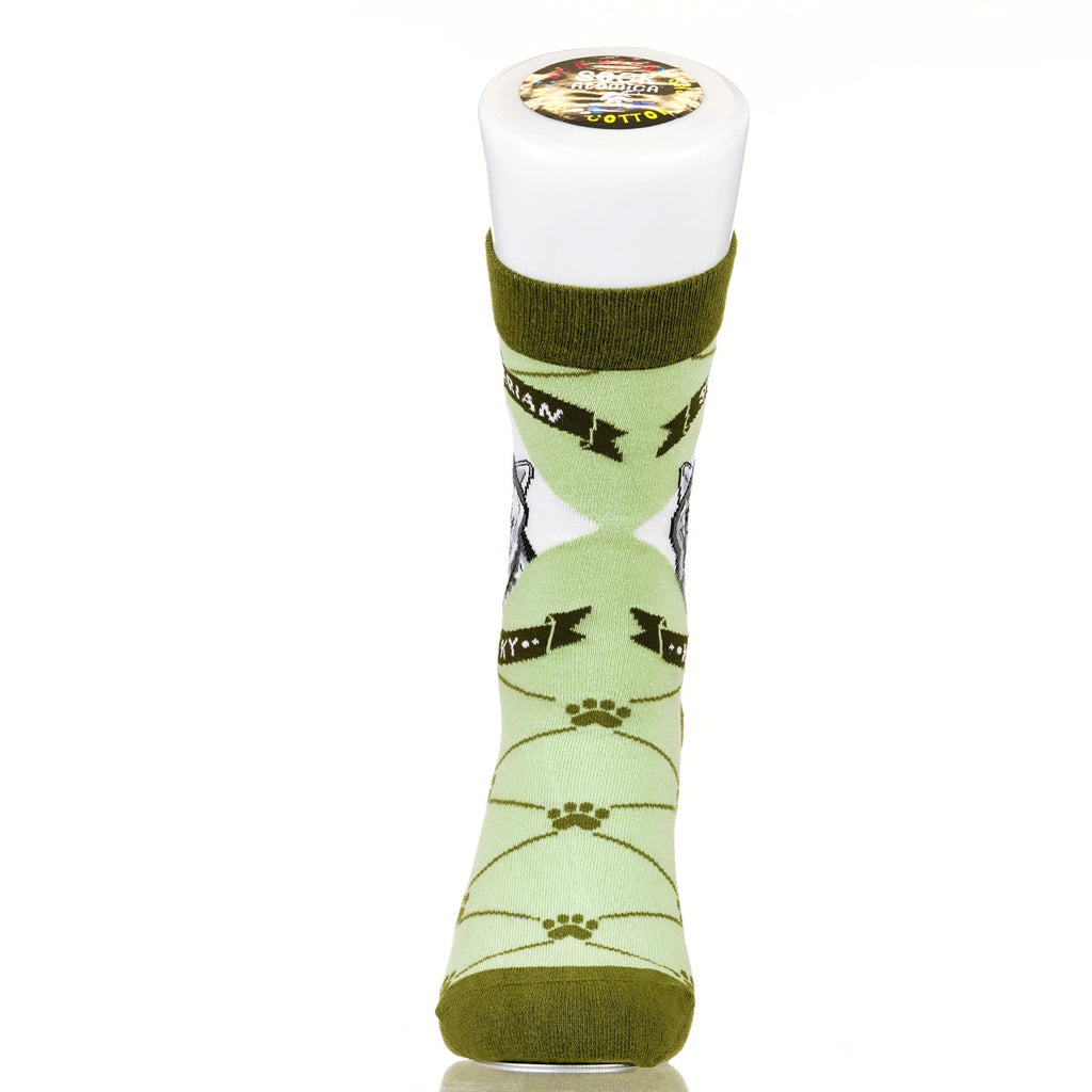 Siberian Husky | Argyle Pups