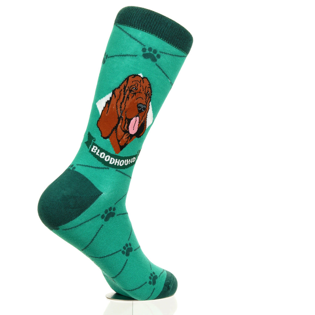 Bloodhound | Argyle Pups