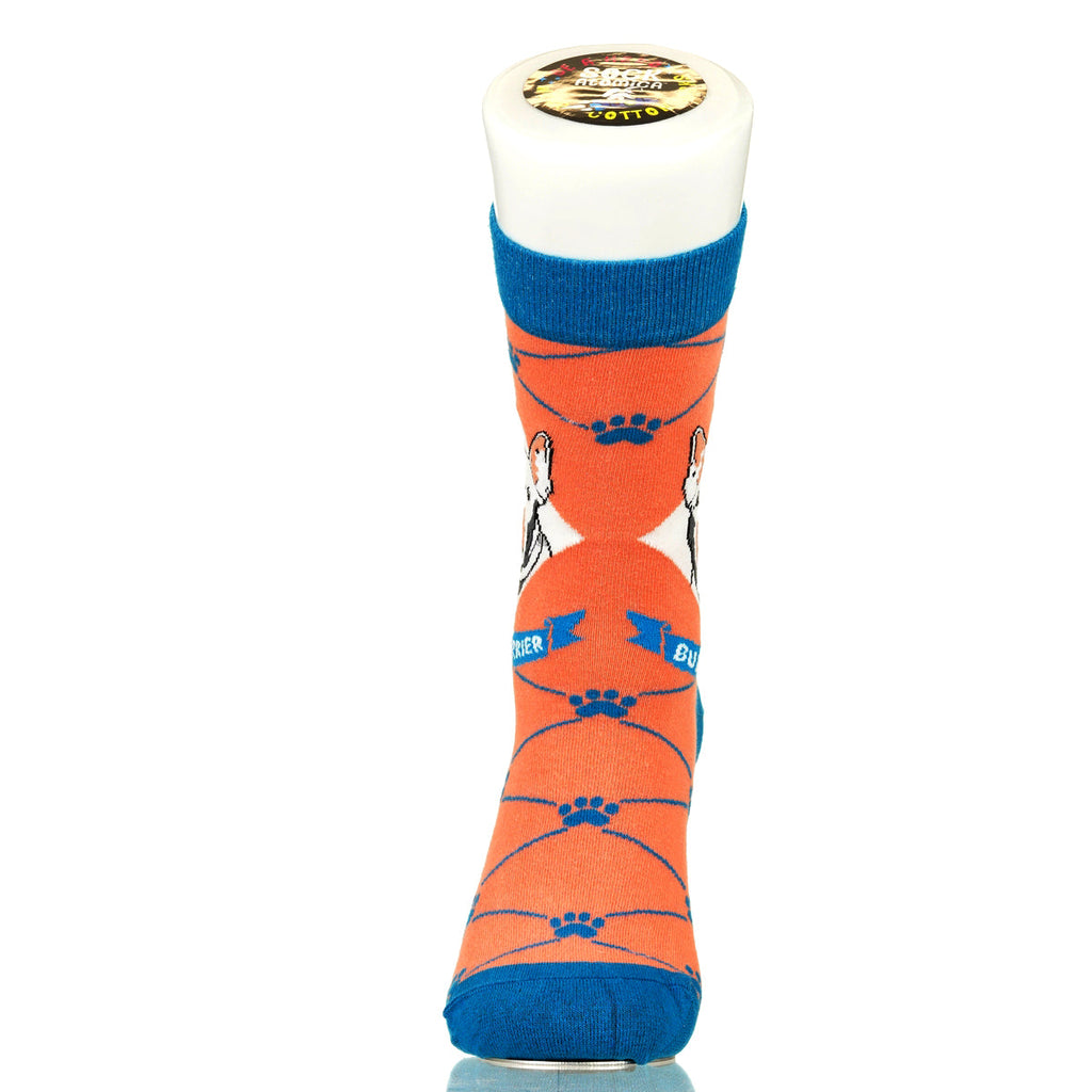 Bull Terrier | Argyle Pups