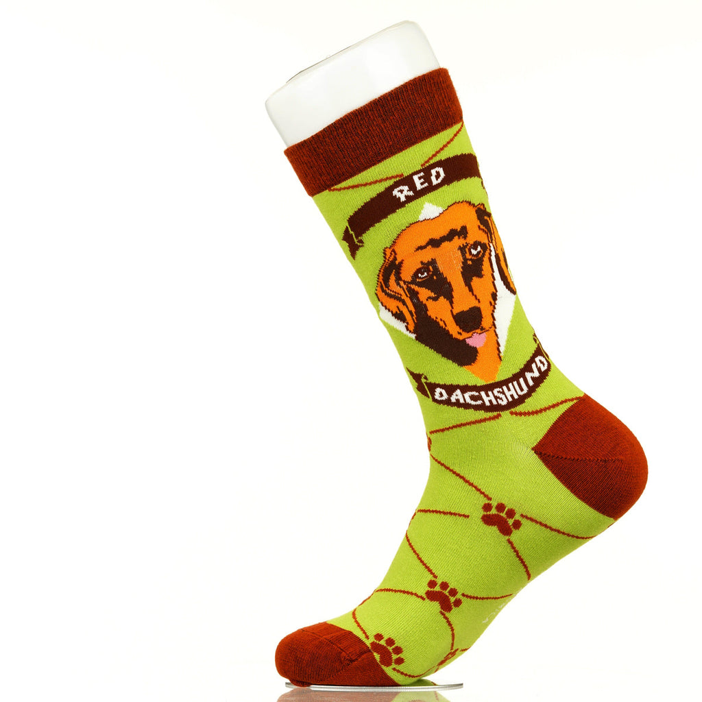 Dachshund Red | Argyle Pups