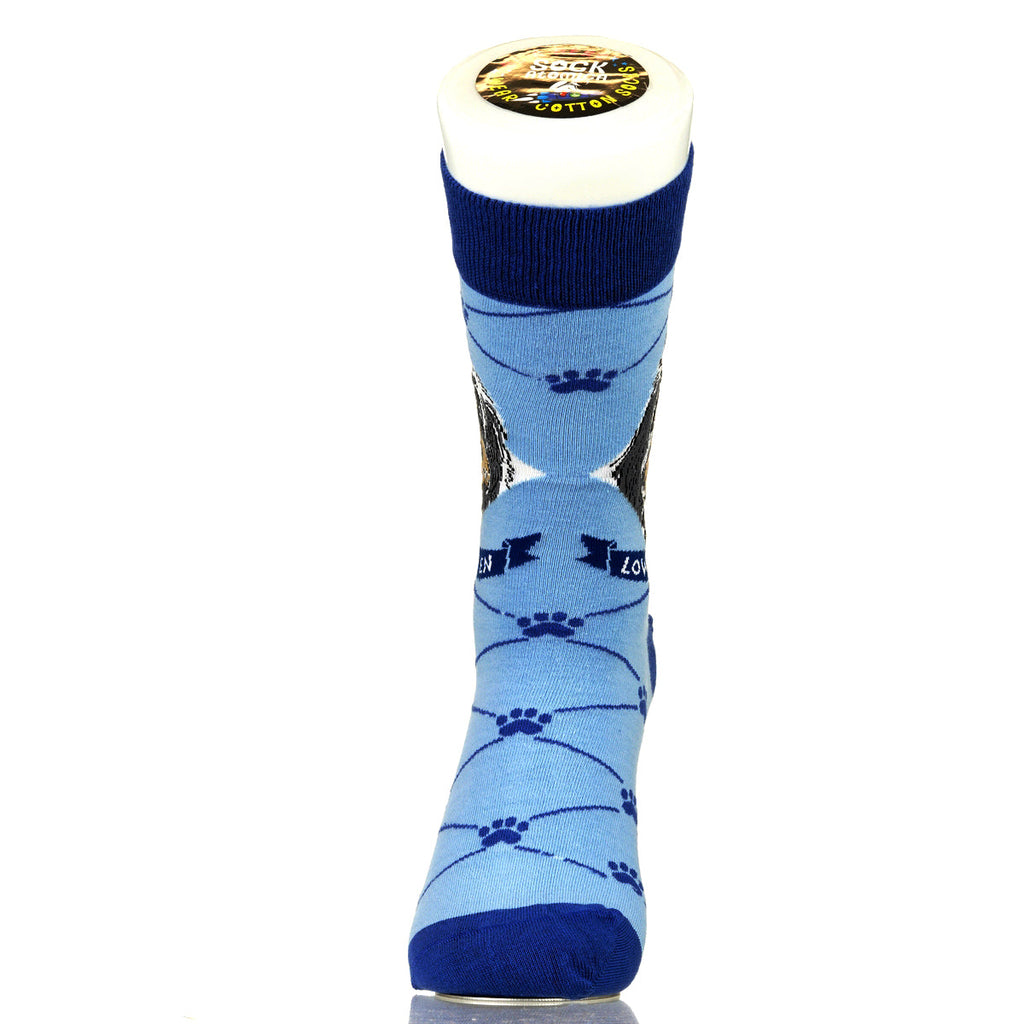 Lowchen | Argyle Pups