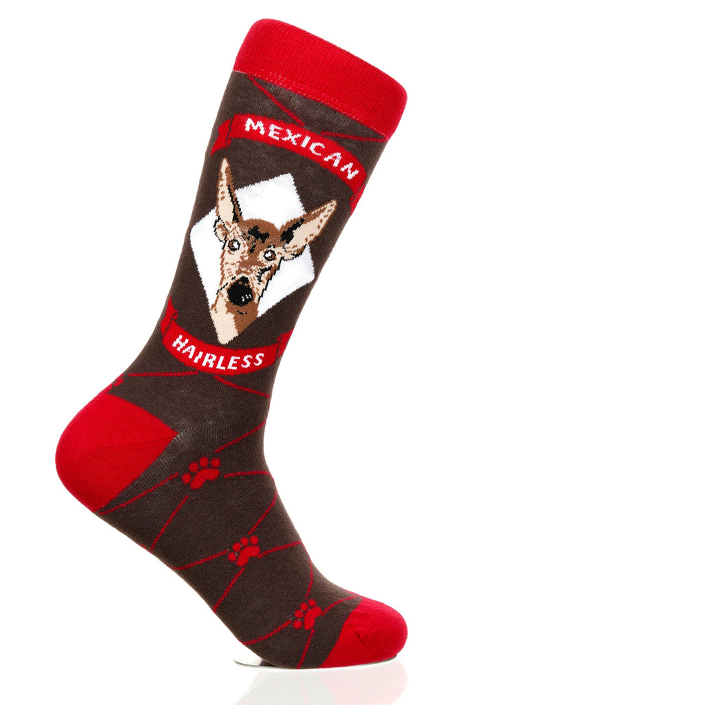 Mexican Hairless | Argyle Pups