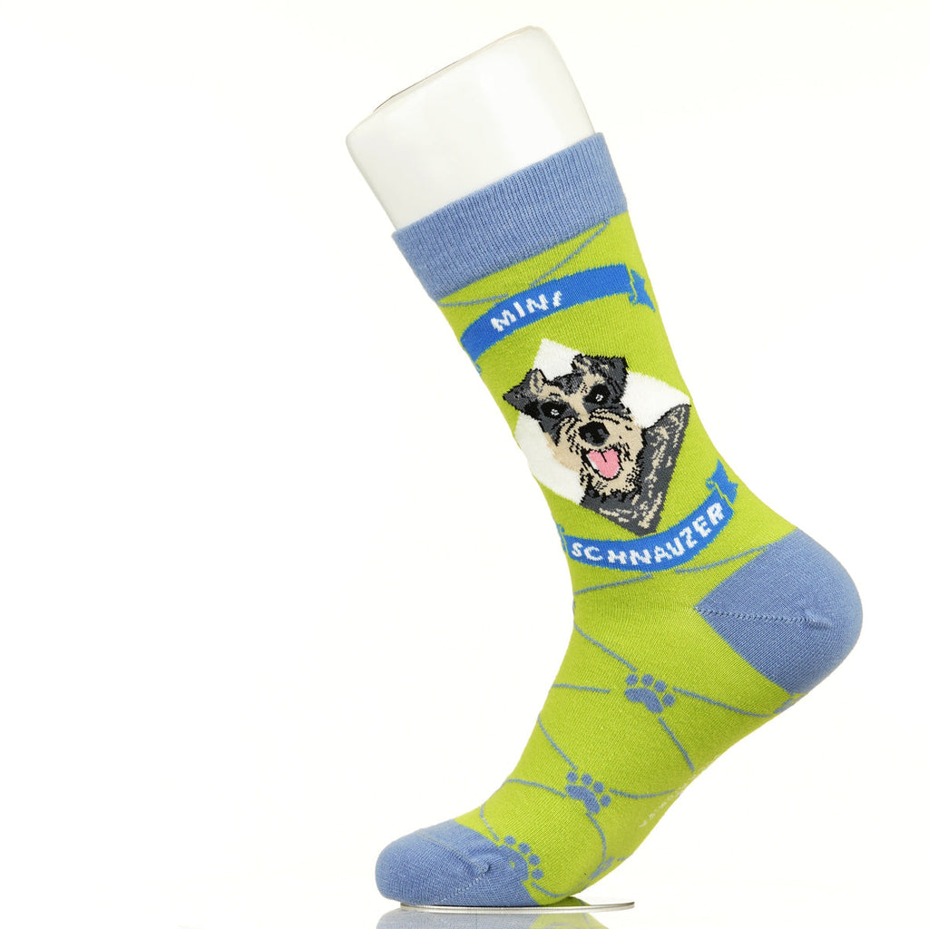 Mini Schnauzer | Argyle Pups