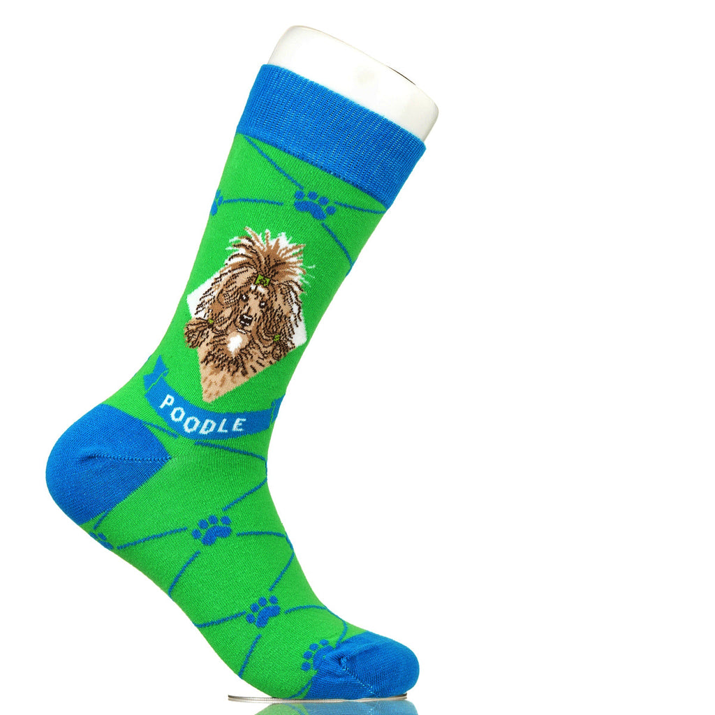 Poodle | Argyle Pups