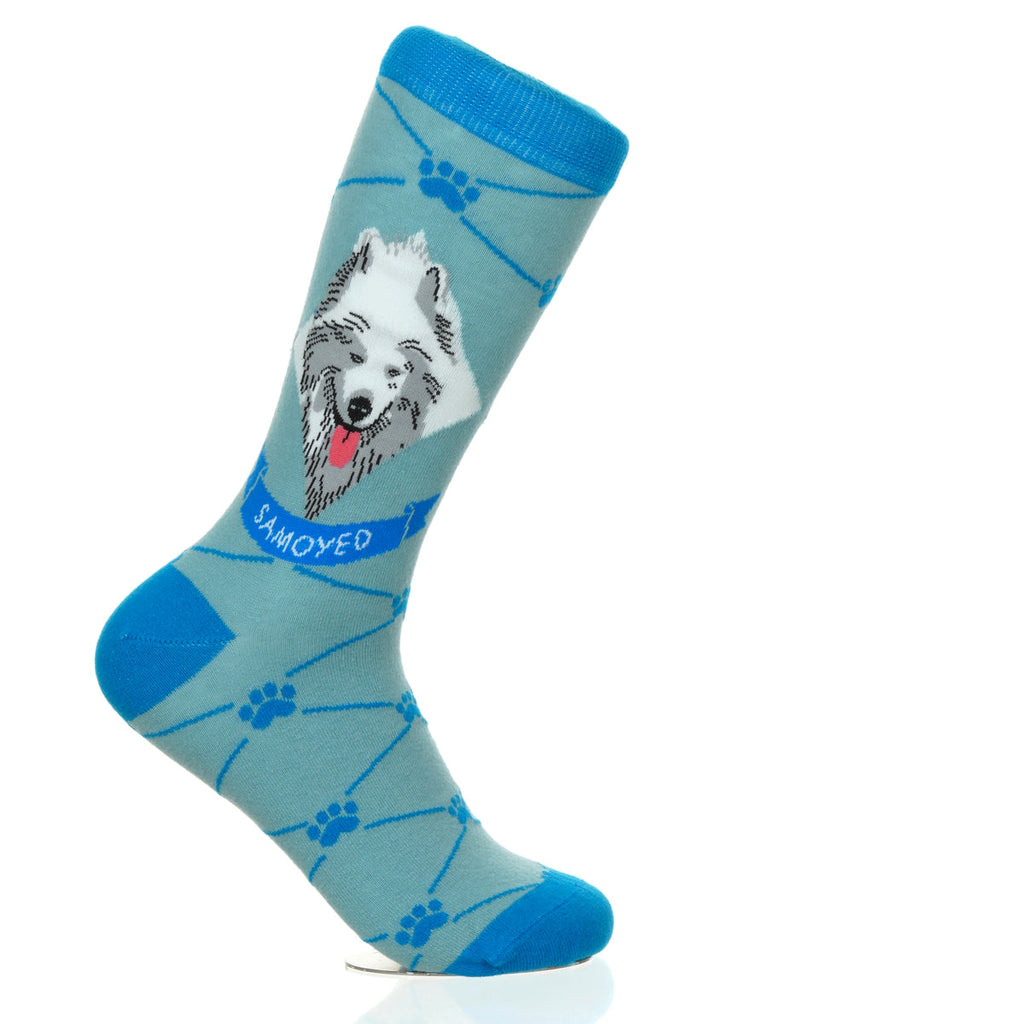 Samoyed | Argyle Pups